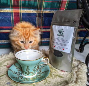 orange kitty with tea cup and tea bag